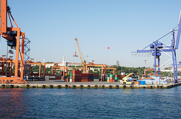 Why Bulk Port Handling Equipment Support Is Essential for Modern Indian Ports